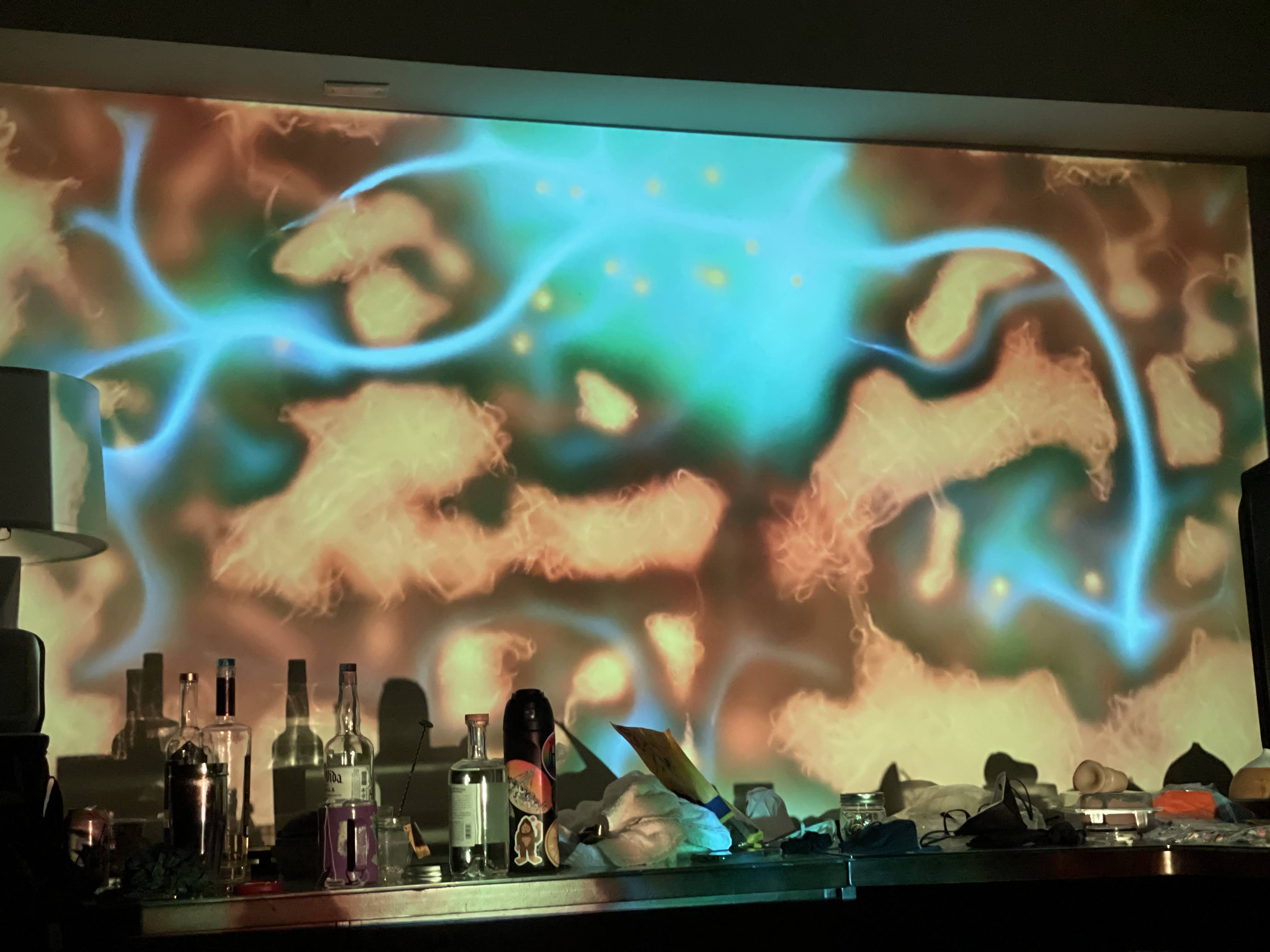 Slime mold animation