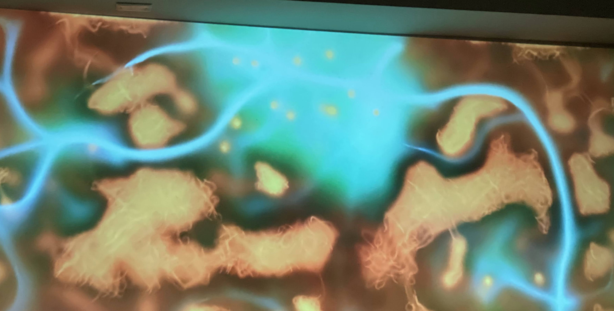 Slime Mold simulation that looks like yellow and blue plasma