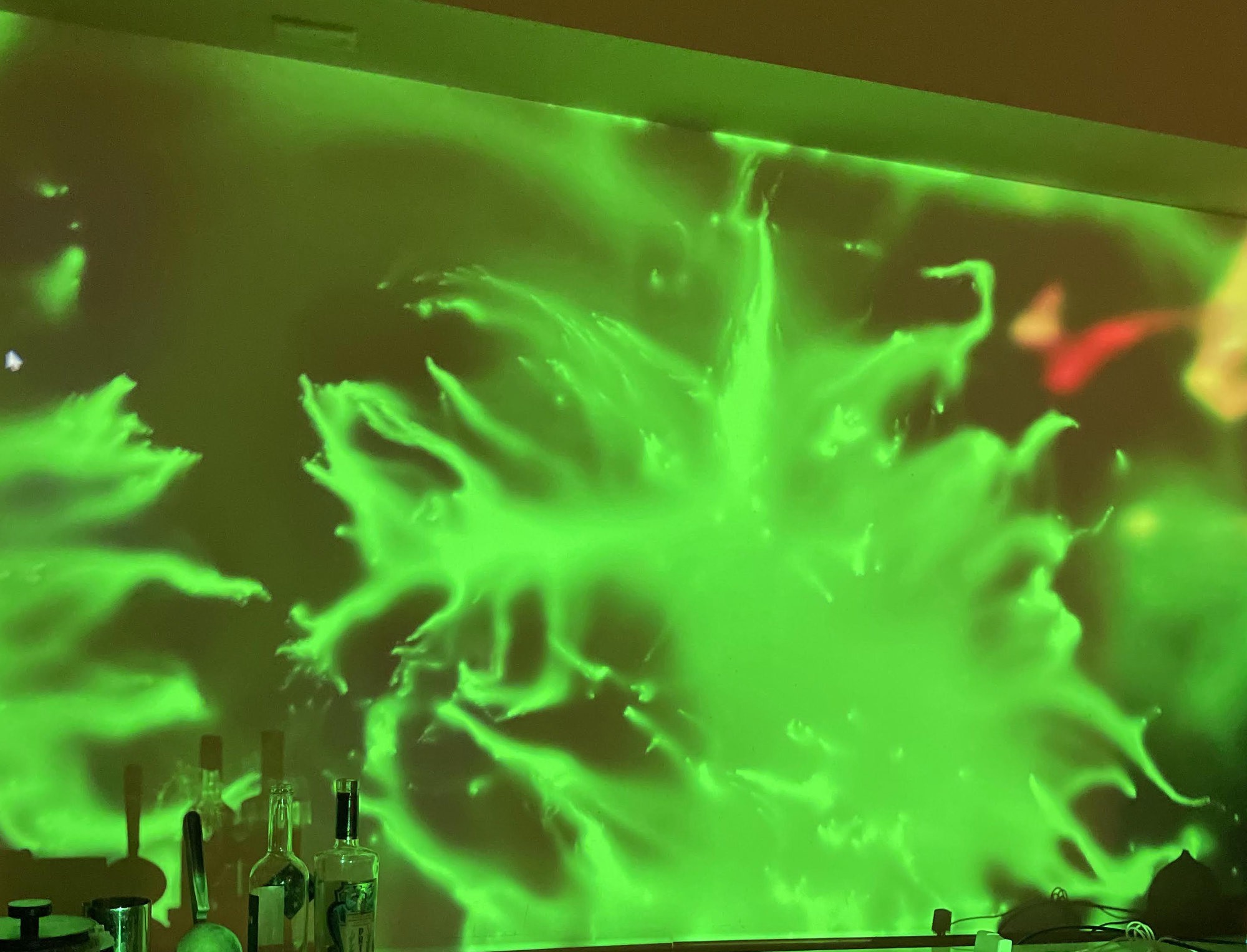 Green Slime Mold simulation